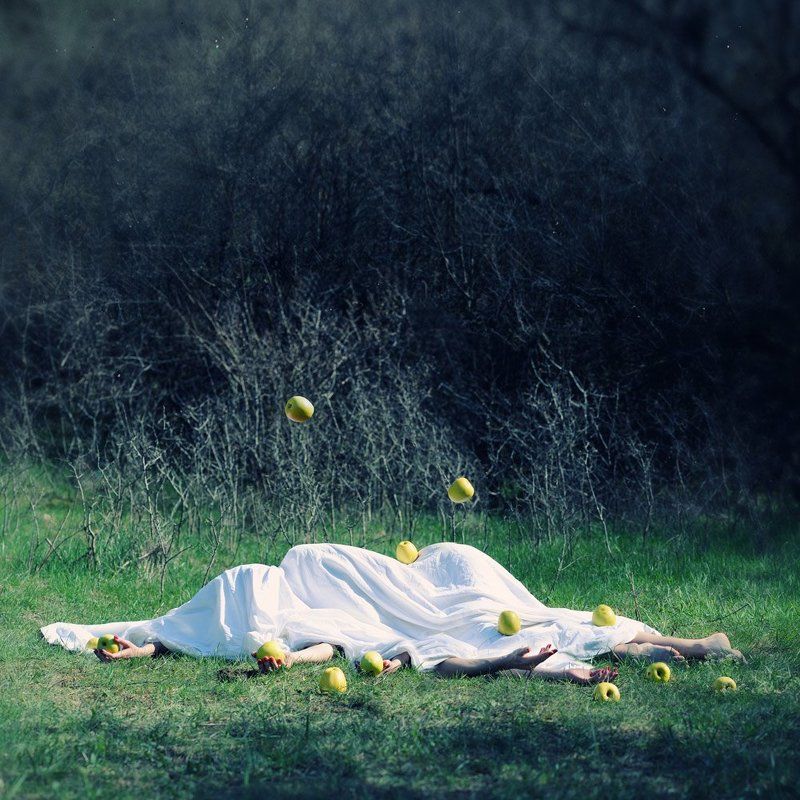 Яблоки фото превью