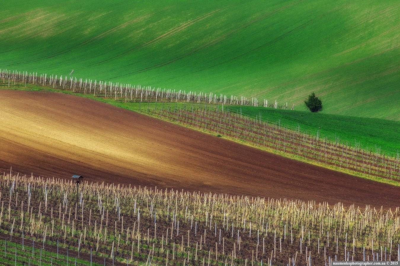 , Александр Науменко