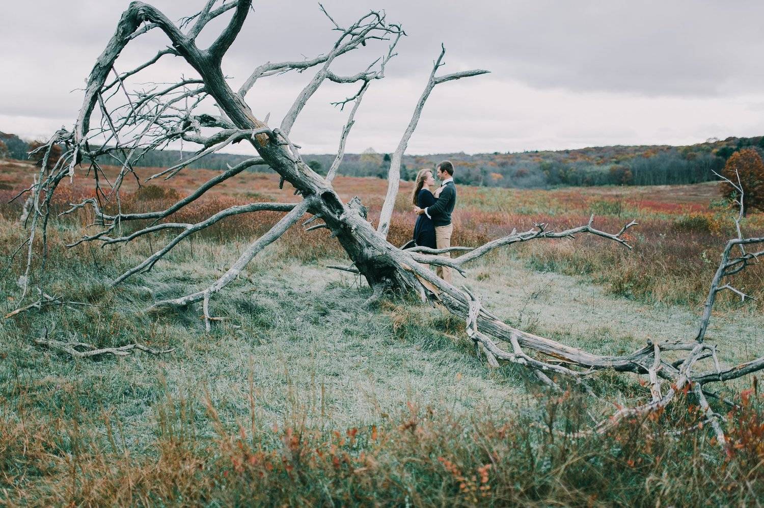 , Богатова Татьяна