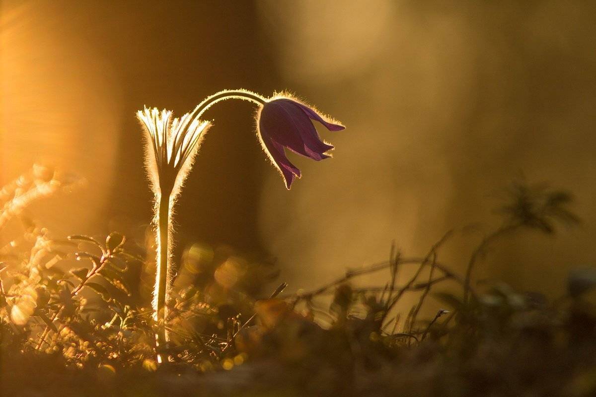 , Вилюнов Дмитрий