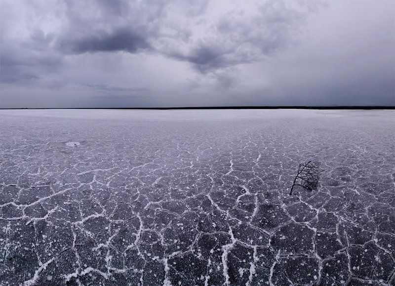 весна, озеро, пейзаж, природа, эльтон Соли Эльтона фото превью