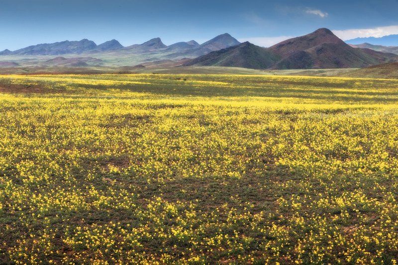 горы торайгыр, казахстан, тянь-шань горы Торайгыр фото превью