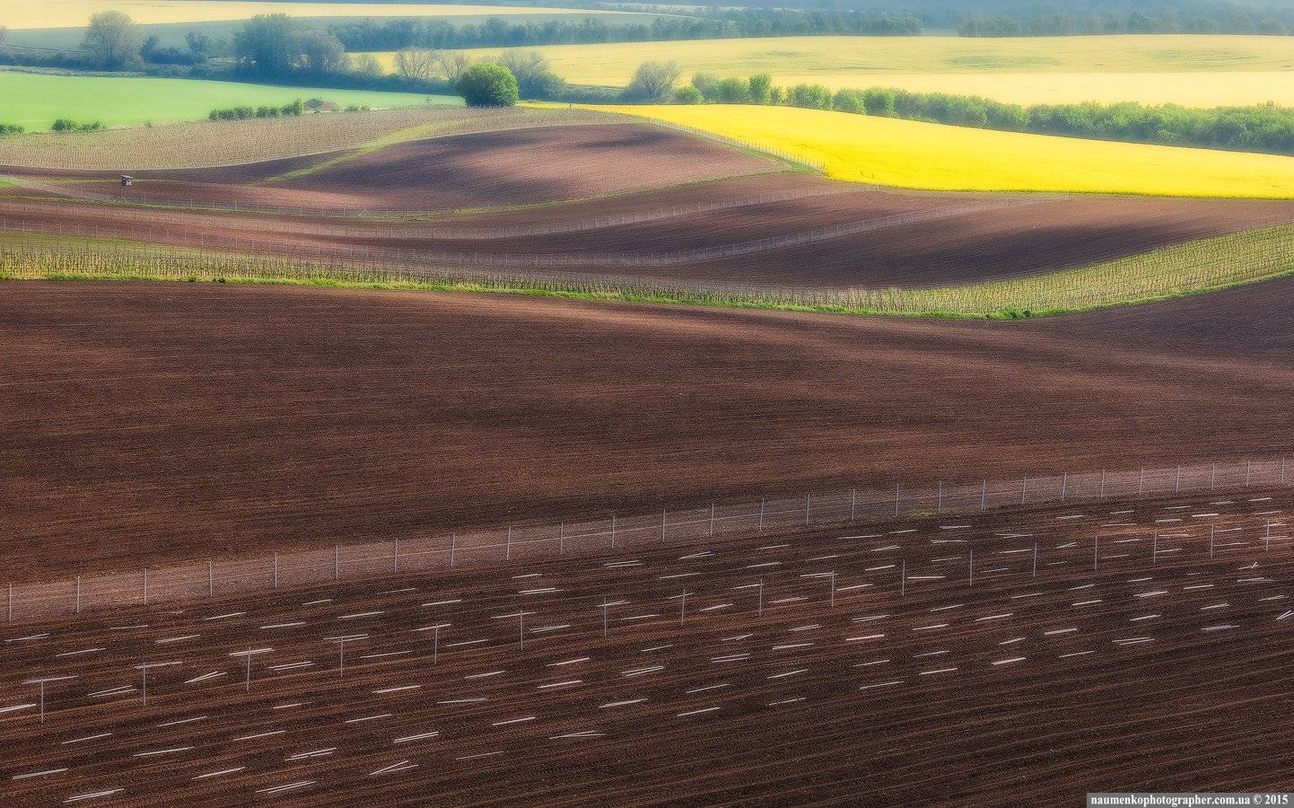 , Александр Науменко