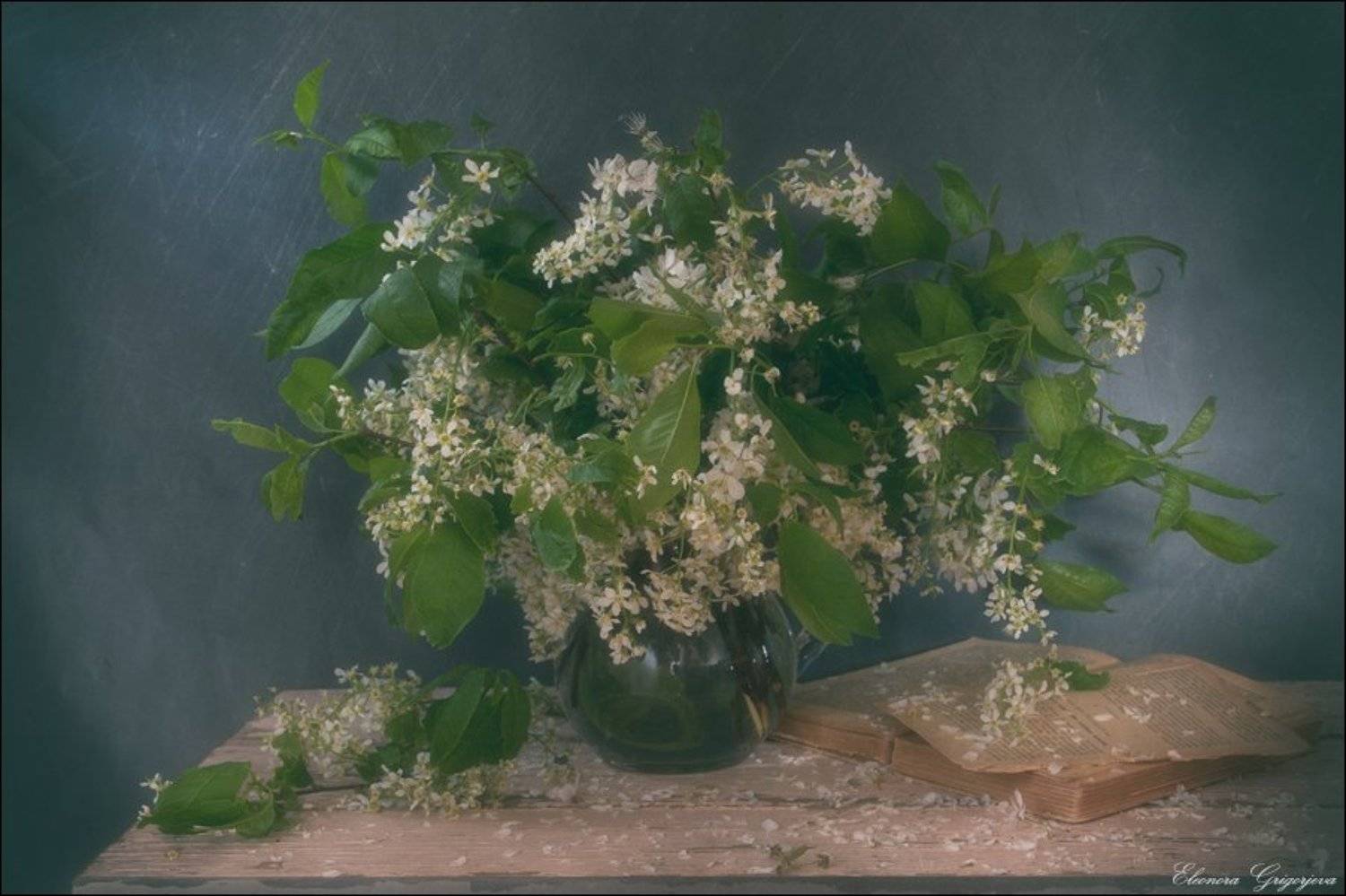 белый цвет, май, натюрморт, черёмуха, Eleonora Grigorjeva