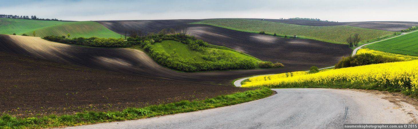 , Александр Науменко