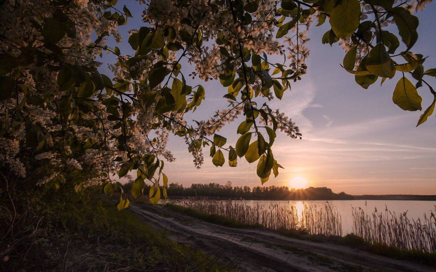 Купавна. Весенняя прогулка, Андрей Леонидович