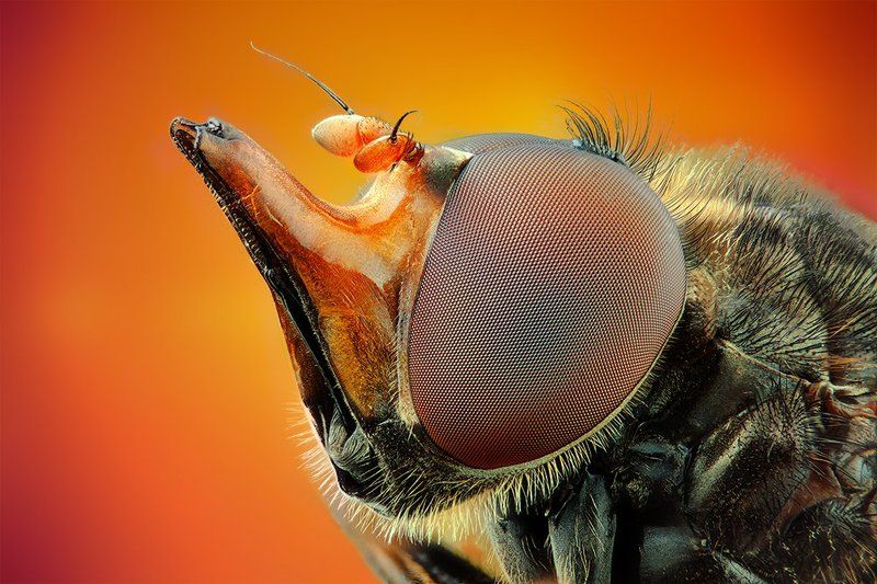 pu5z3k o.o фото превью