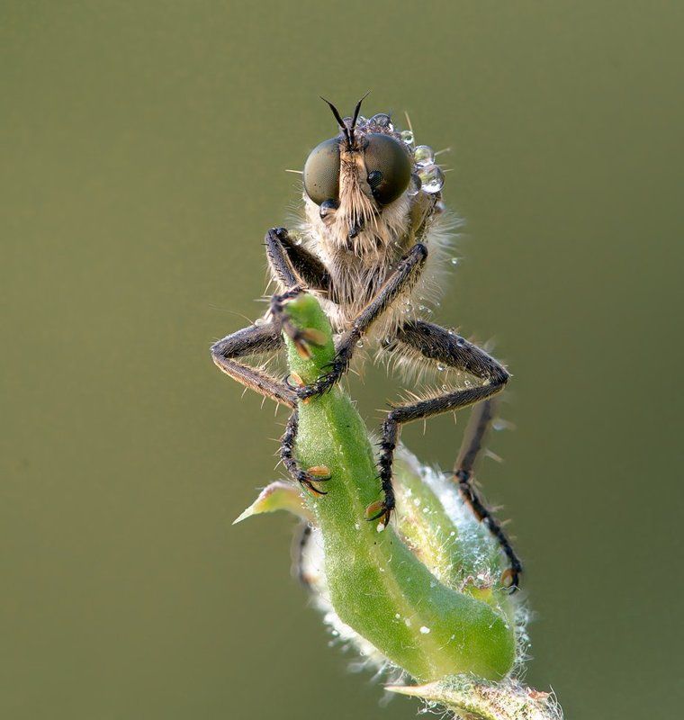 Скоро на охоту фото превью