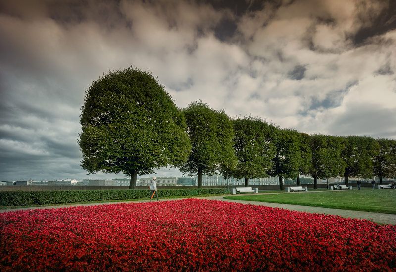 петербург *** фото превью