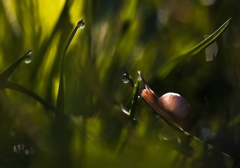 , Вячеслав Мищенко