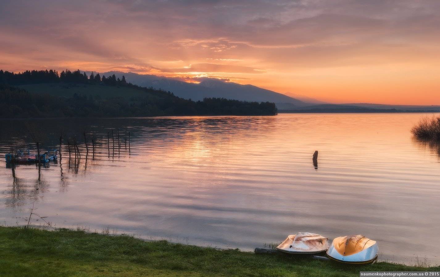 , Александр Науменко