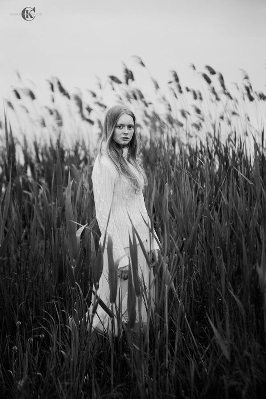 Тростник фото превью