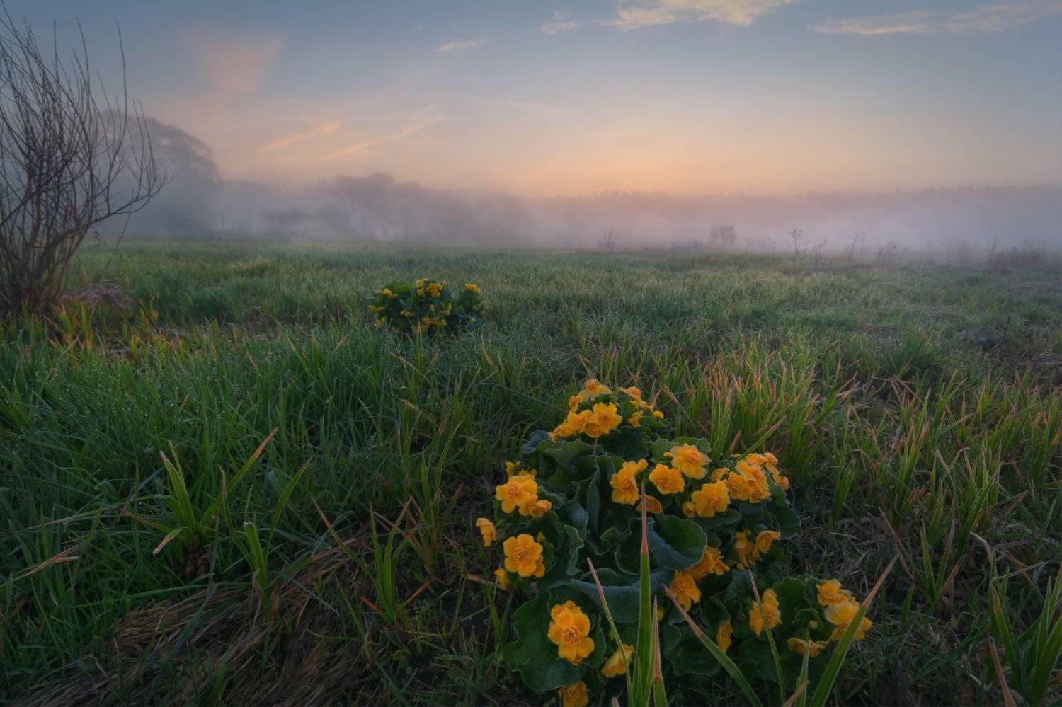 , Жмак Евгений