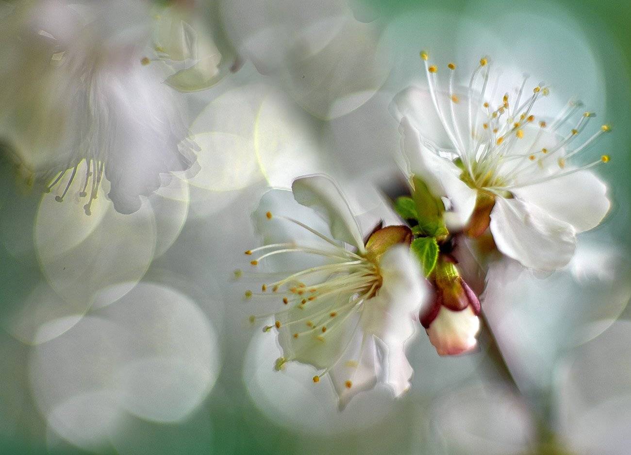 Весна на Урале, Качурин, Качурин алексей, Оренбургская область, Орск, Качурин Алексей