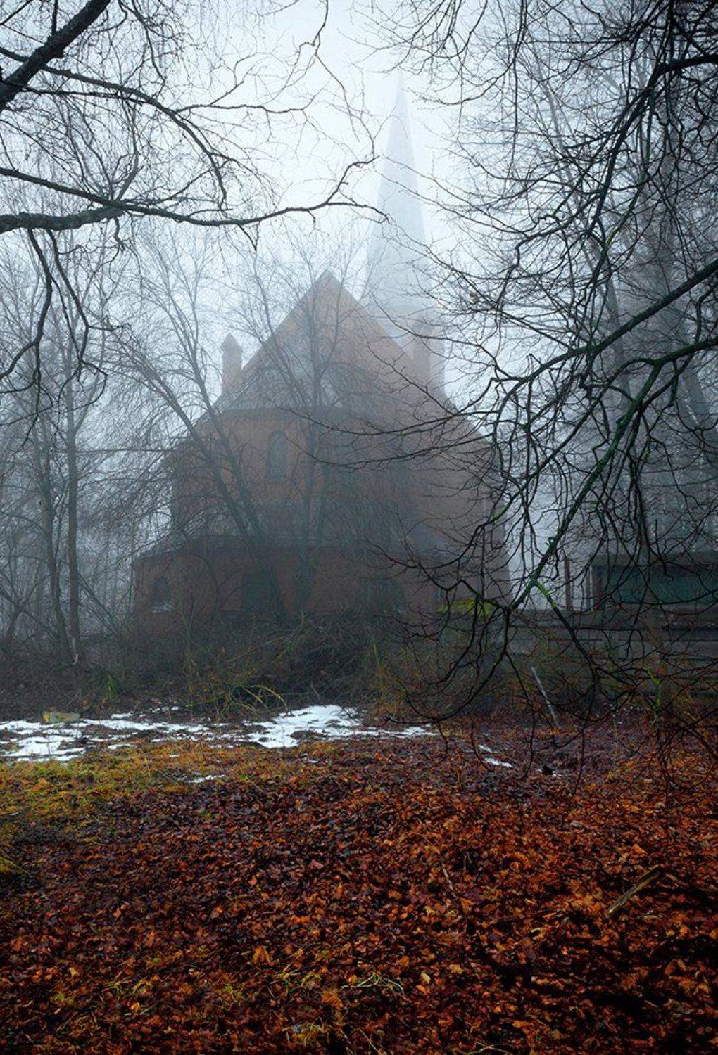 , Анна Кудрявцева