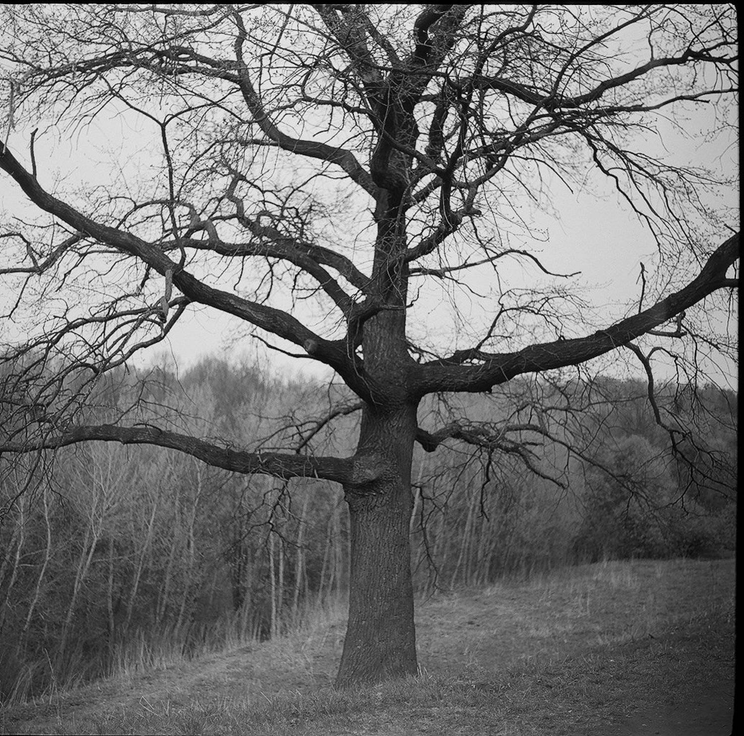 , Ефремов Андрей  МИ₽