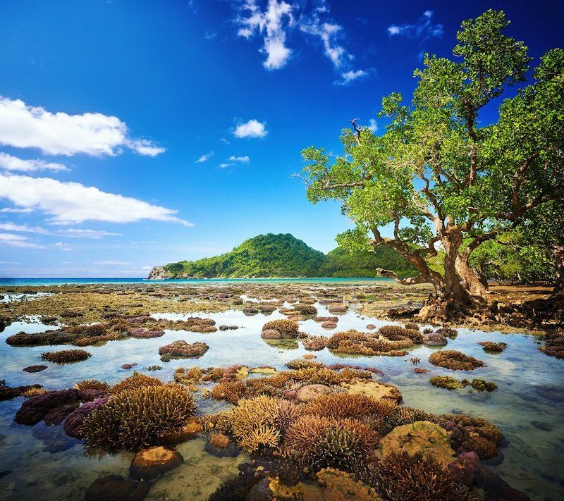 Отлив фото превью