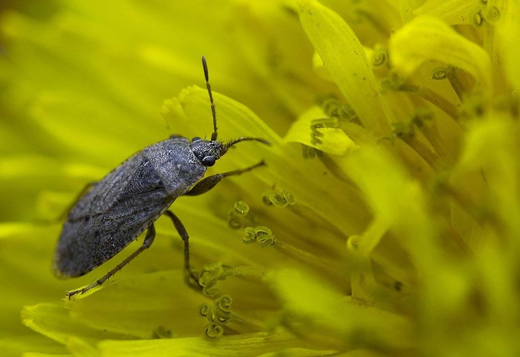 , Петрова Татьяна