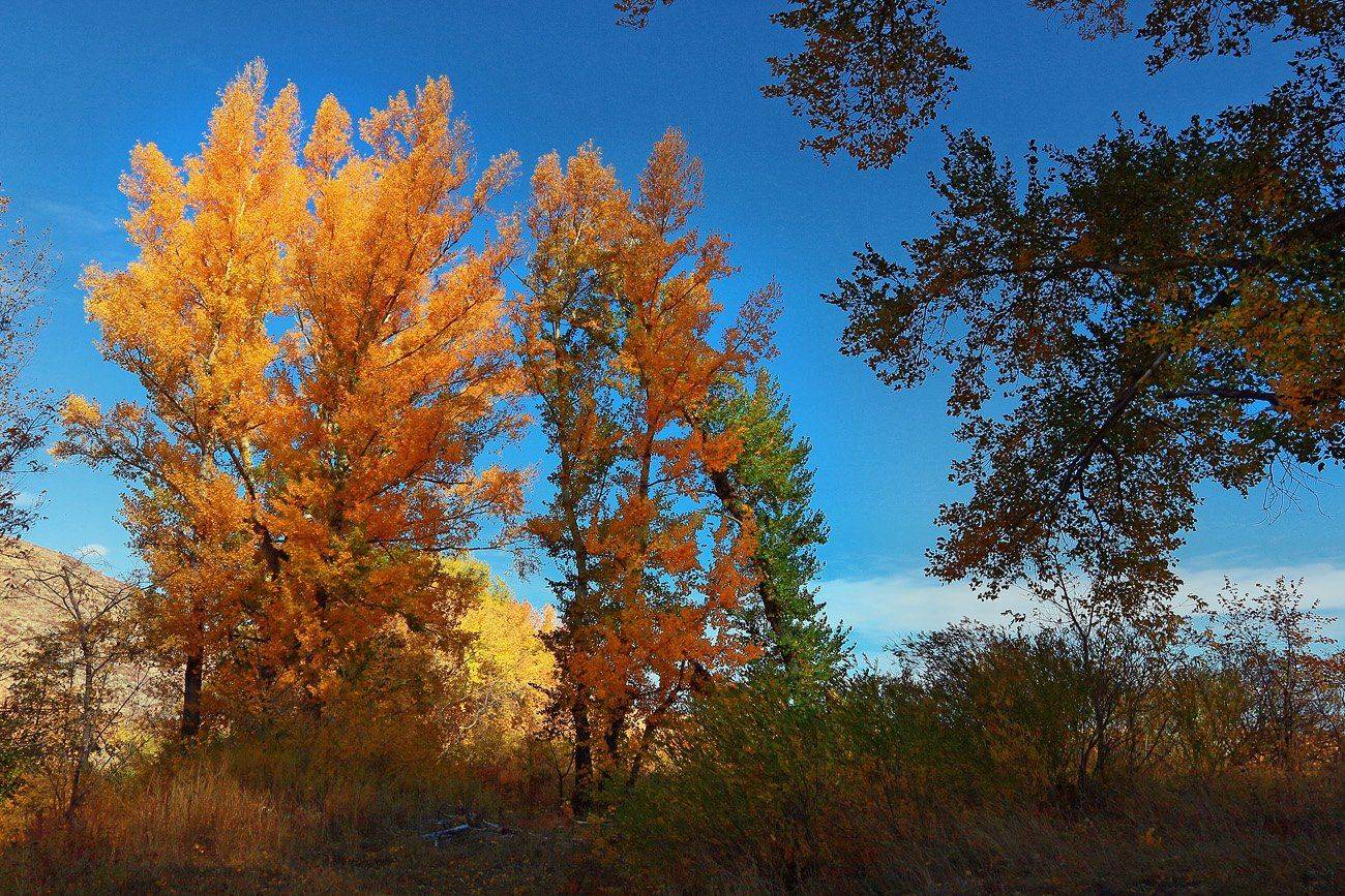 Губерля, Качурин алексей, Оренбургская область, Орск, Качурин Алексей