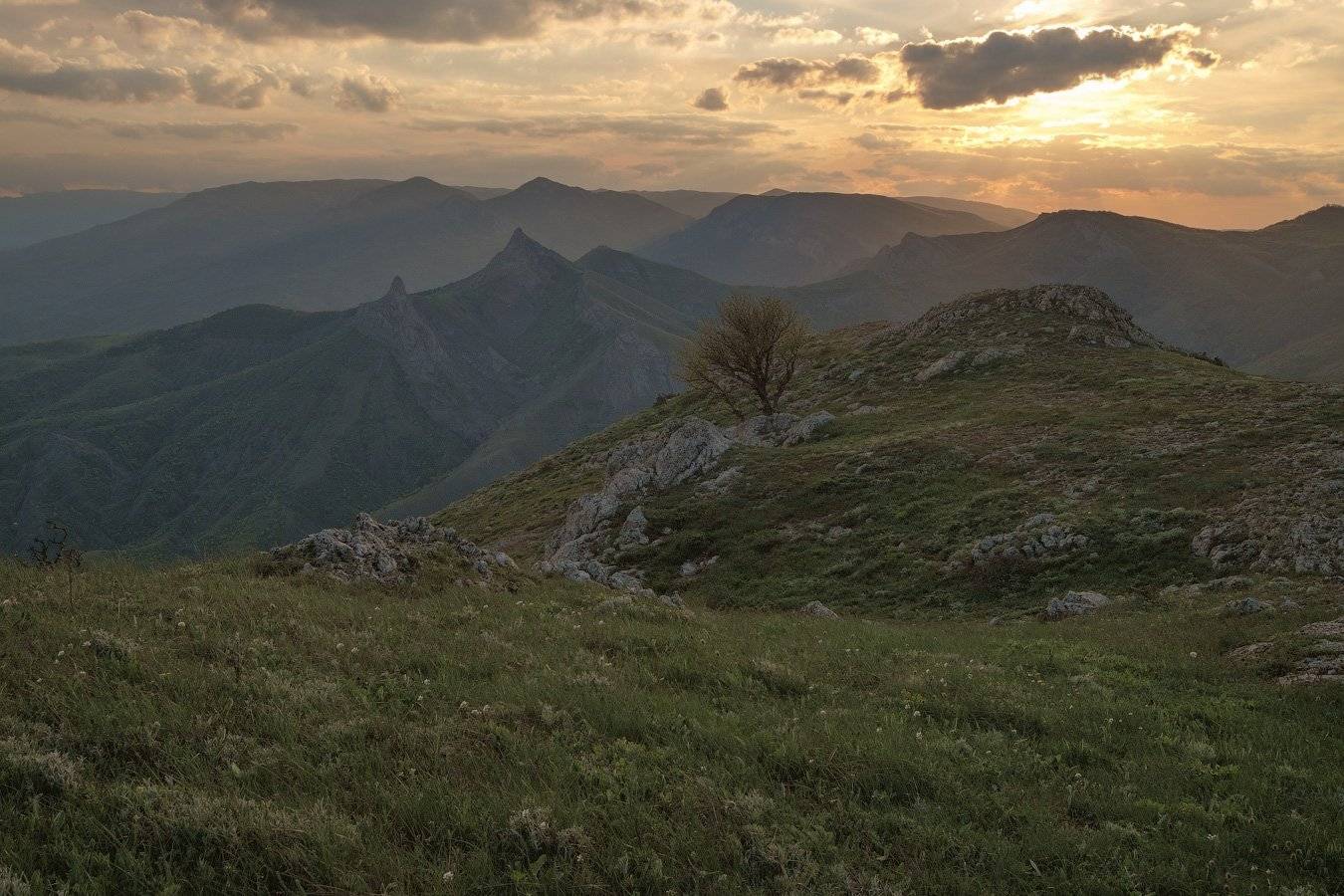 _. Автор: Олег Логунов , Олег Логунов