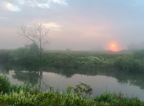 Рассвет на Упе