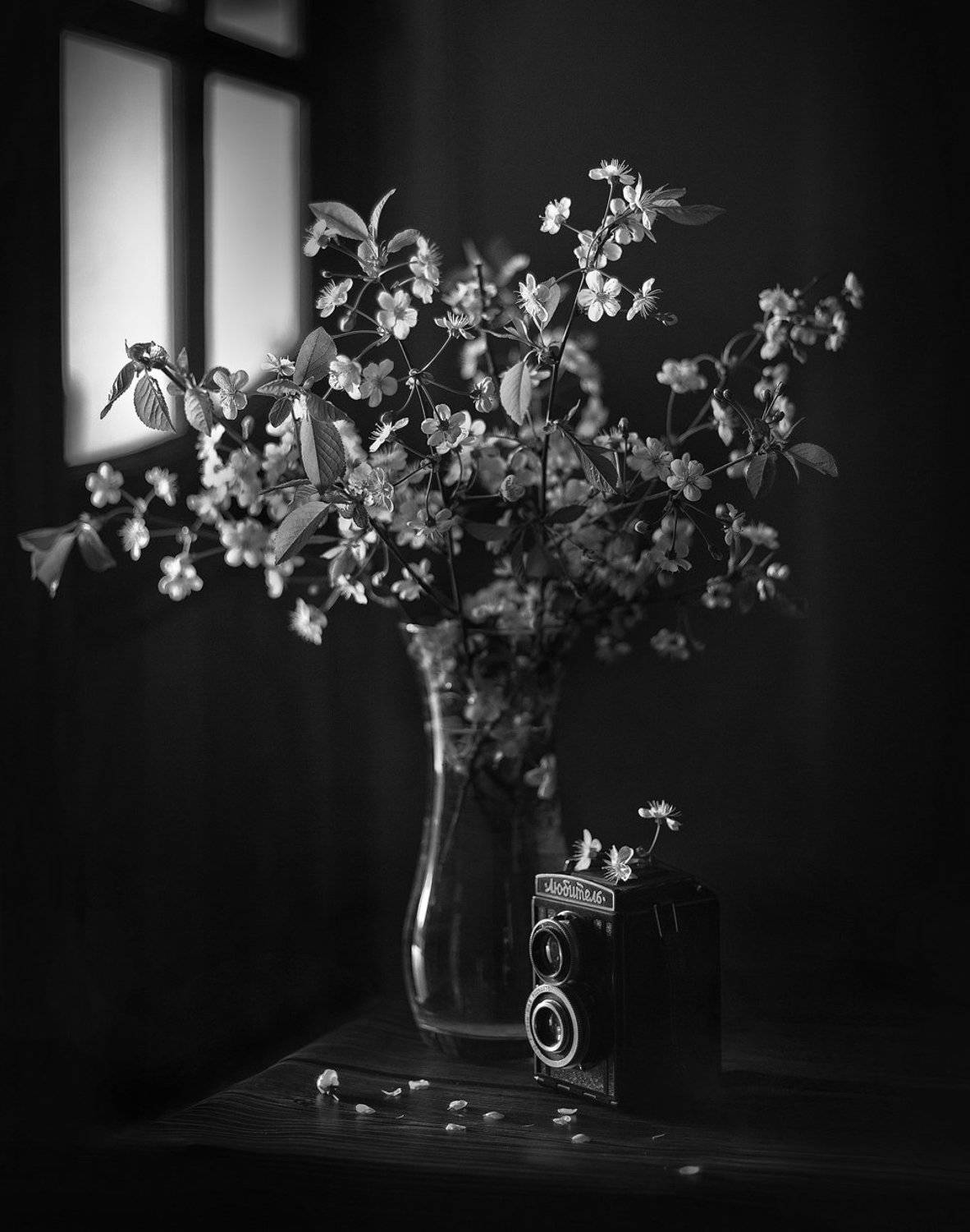 Весна, Вишня, Любитель, Натюрморт, Svetlana Golicyna