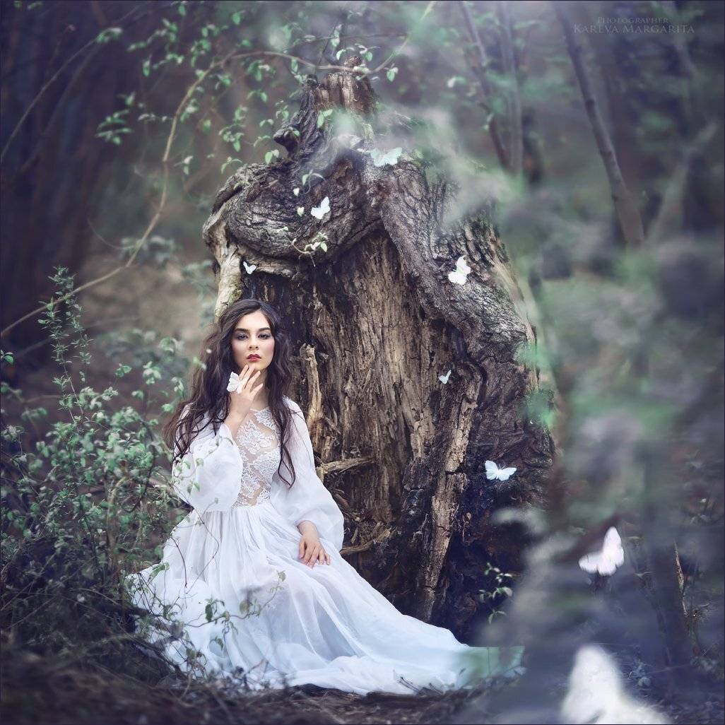 Автор: Margarita Kareva , Margarita Kareva