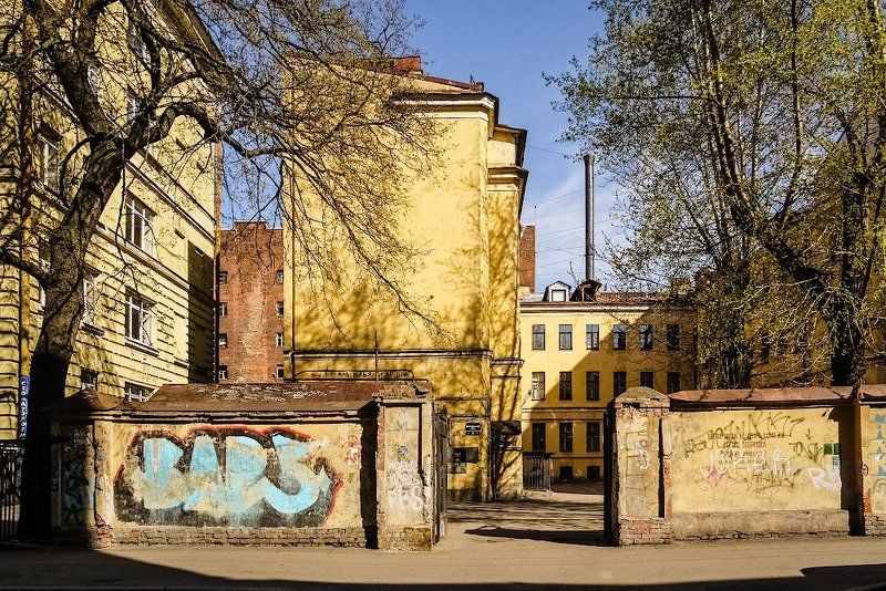 Теплая летняя питерская картинка. фото превью