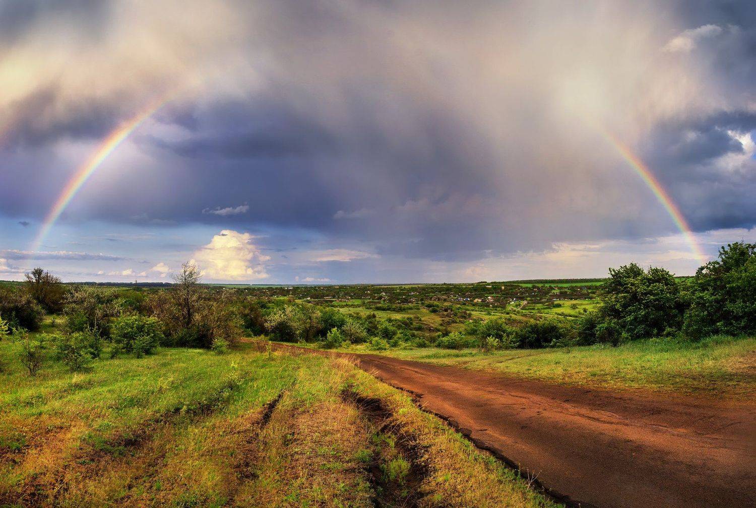 , Анастасия Сак