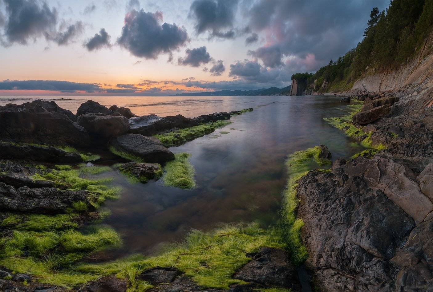 , Николай Мысливцев