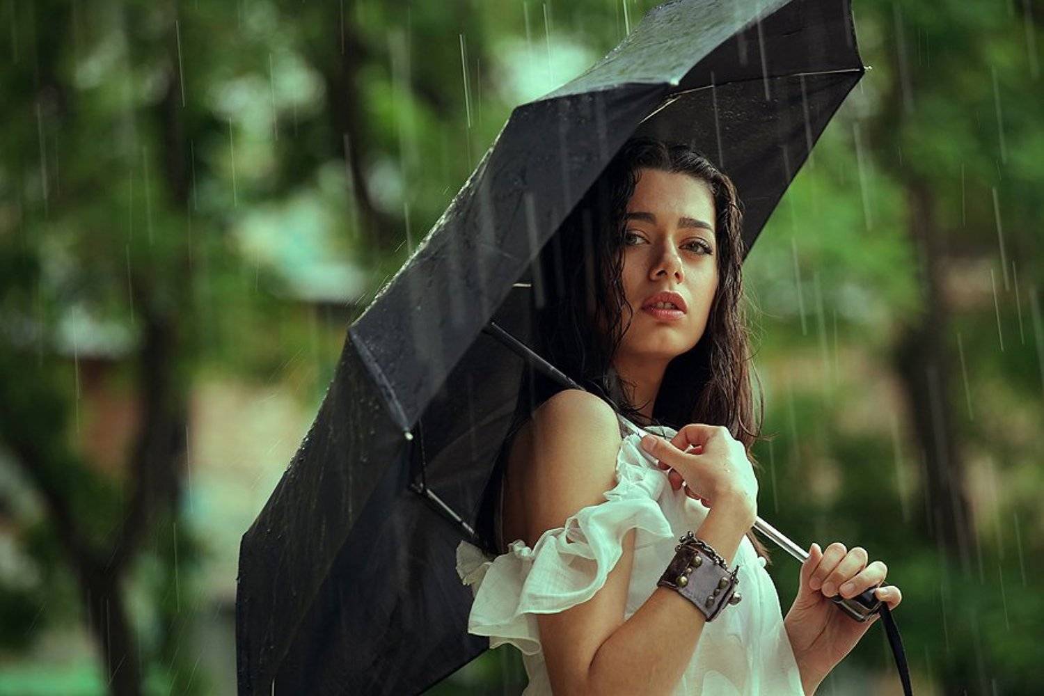 , тимур-тень