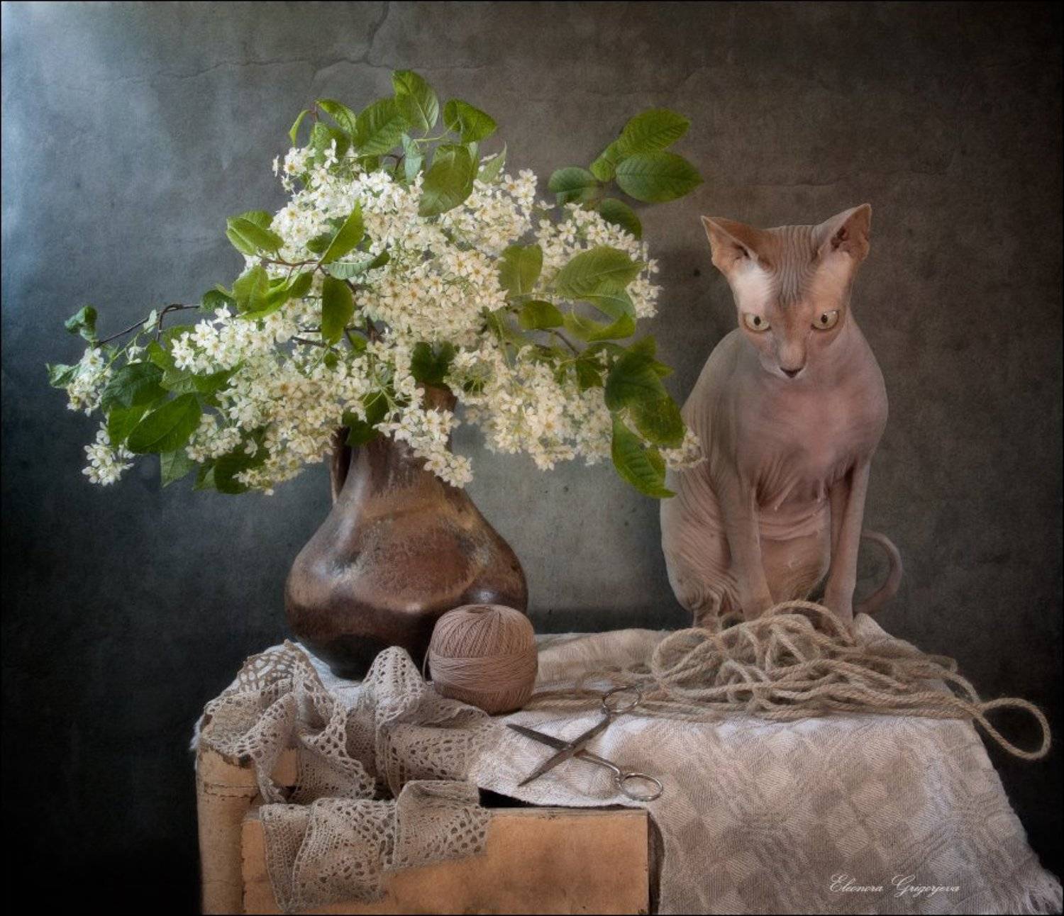 верёвочка, кружева, натюркотики, ножницы, сфинкс, хвост, черёмуха, Eleonora Grigorjeva