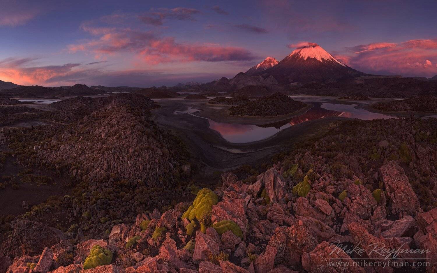 , Майк Рейфман