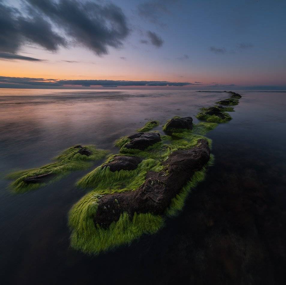 , Николай Мысливцев