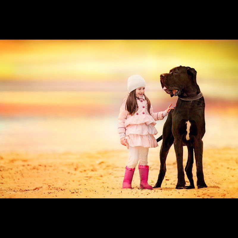 фото превью