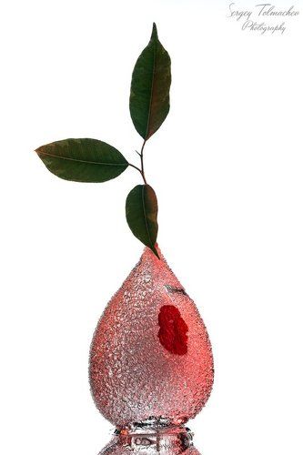 Водяная ваза