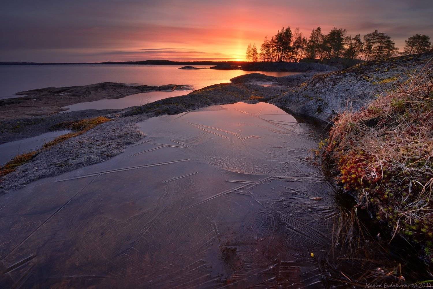 , Максим Евдокимов