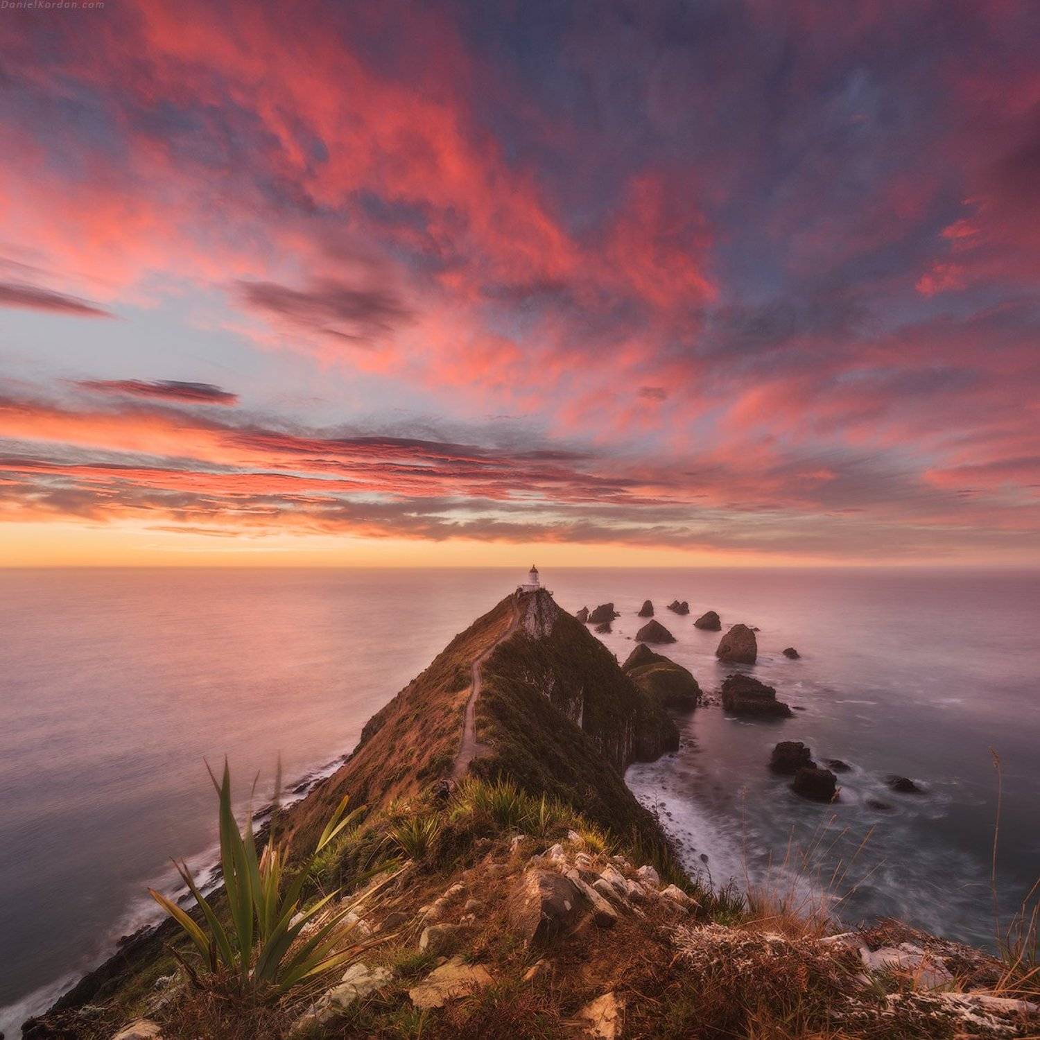 Новая Зеландия, Даниил Коржонов