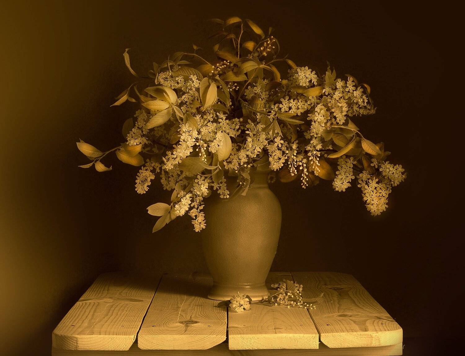 Весна, Черемухи букет, Вера Павлухина