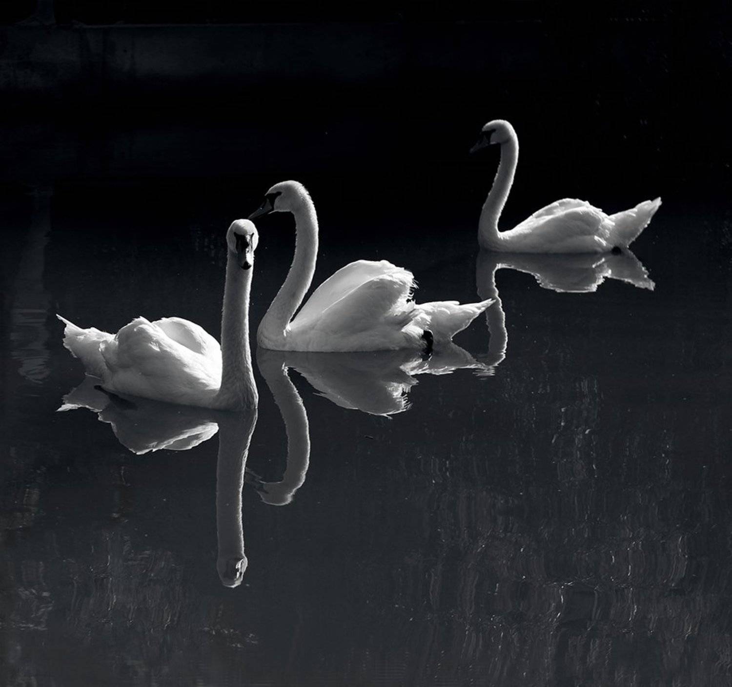 , Анна Кудрявцева