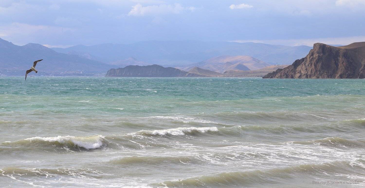 волны, горы, коктебель, крым, море, провато, чайка, черное море, Виктор Климкин