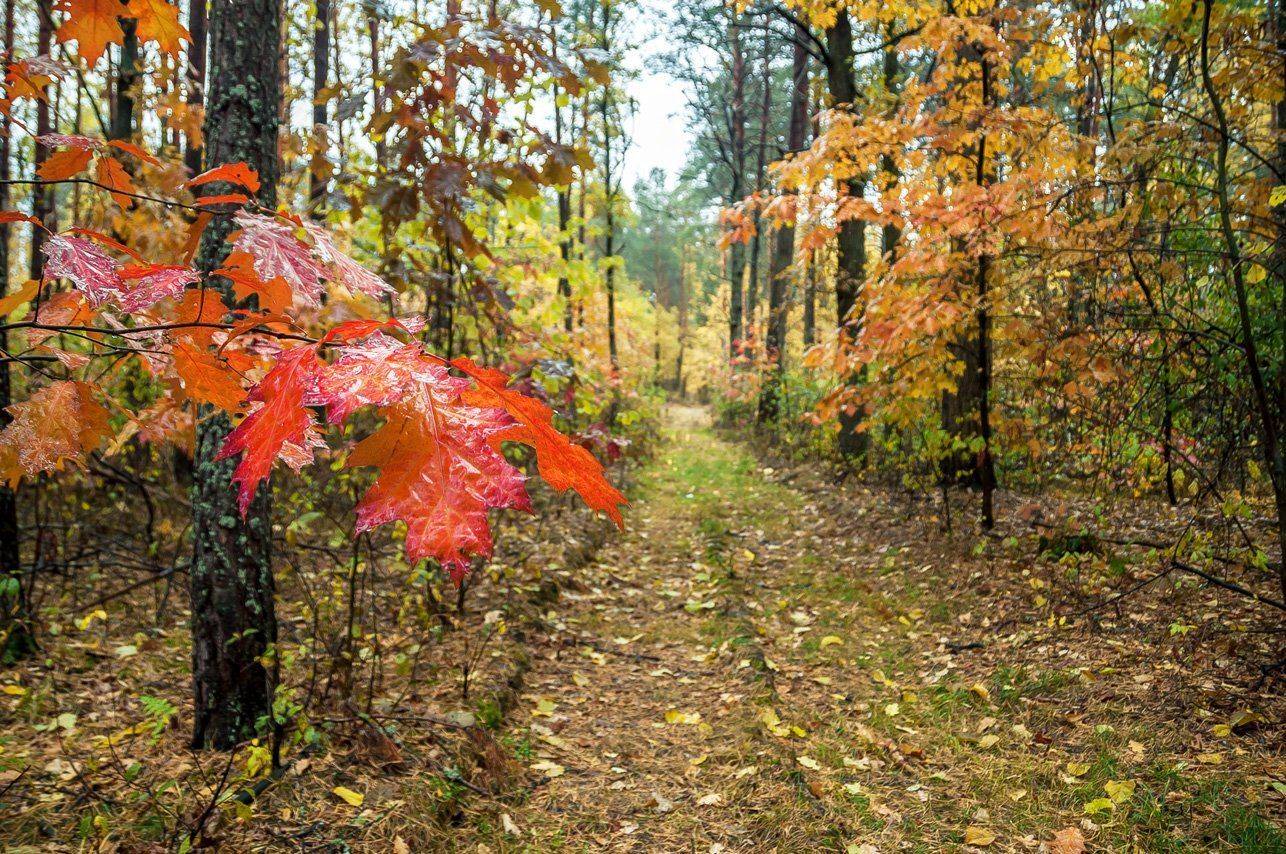 , Валерий Смирнов