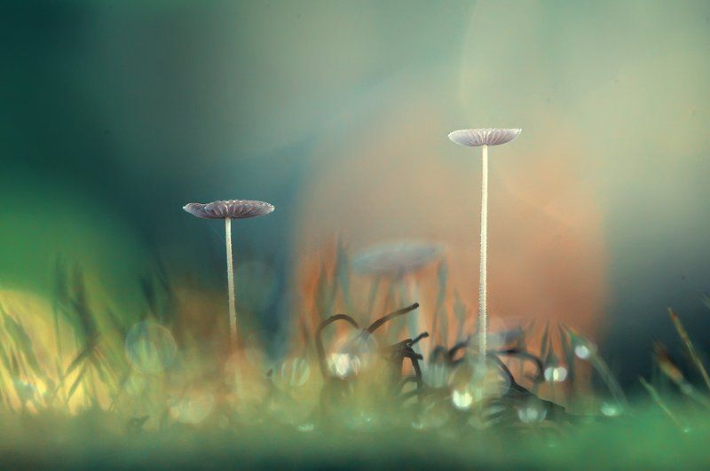 Wonderful Sunday morning фото превью