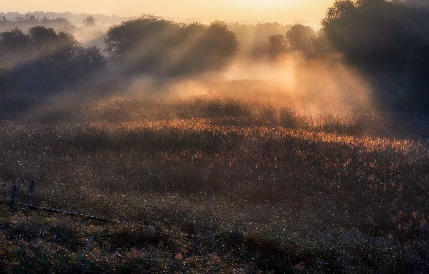 , Игорь Мелекесцев