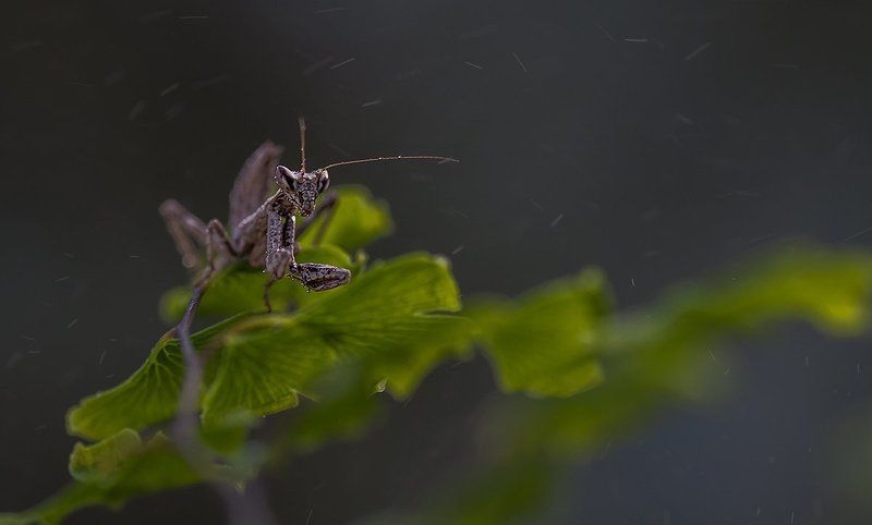 Ветрено. фото превью