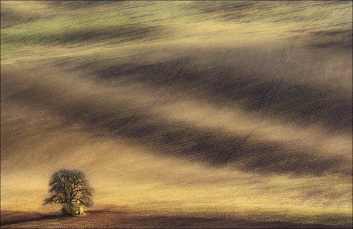 / Весна в Южной Чехии /