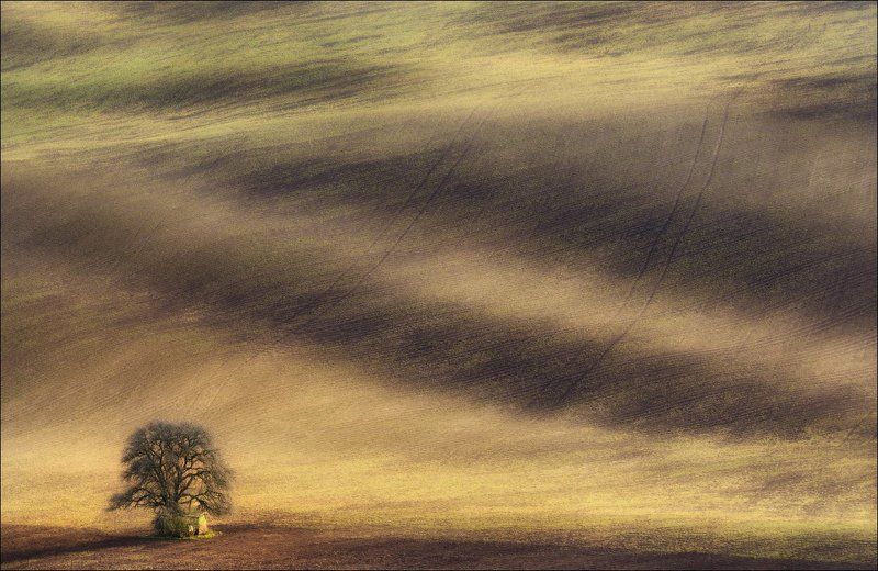 чехия, южная моравия, весна, czech, south moravian, / Весна в Южной Чехии / фото превью