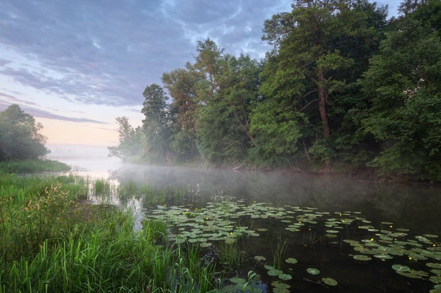 , Денис Сорокин