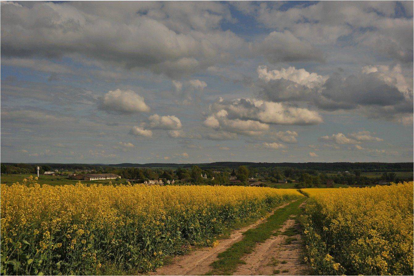 , Володимир Карчевський