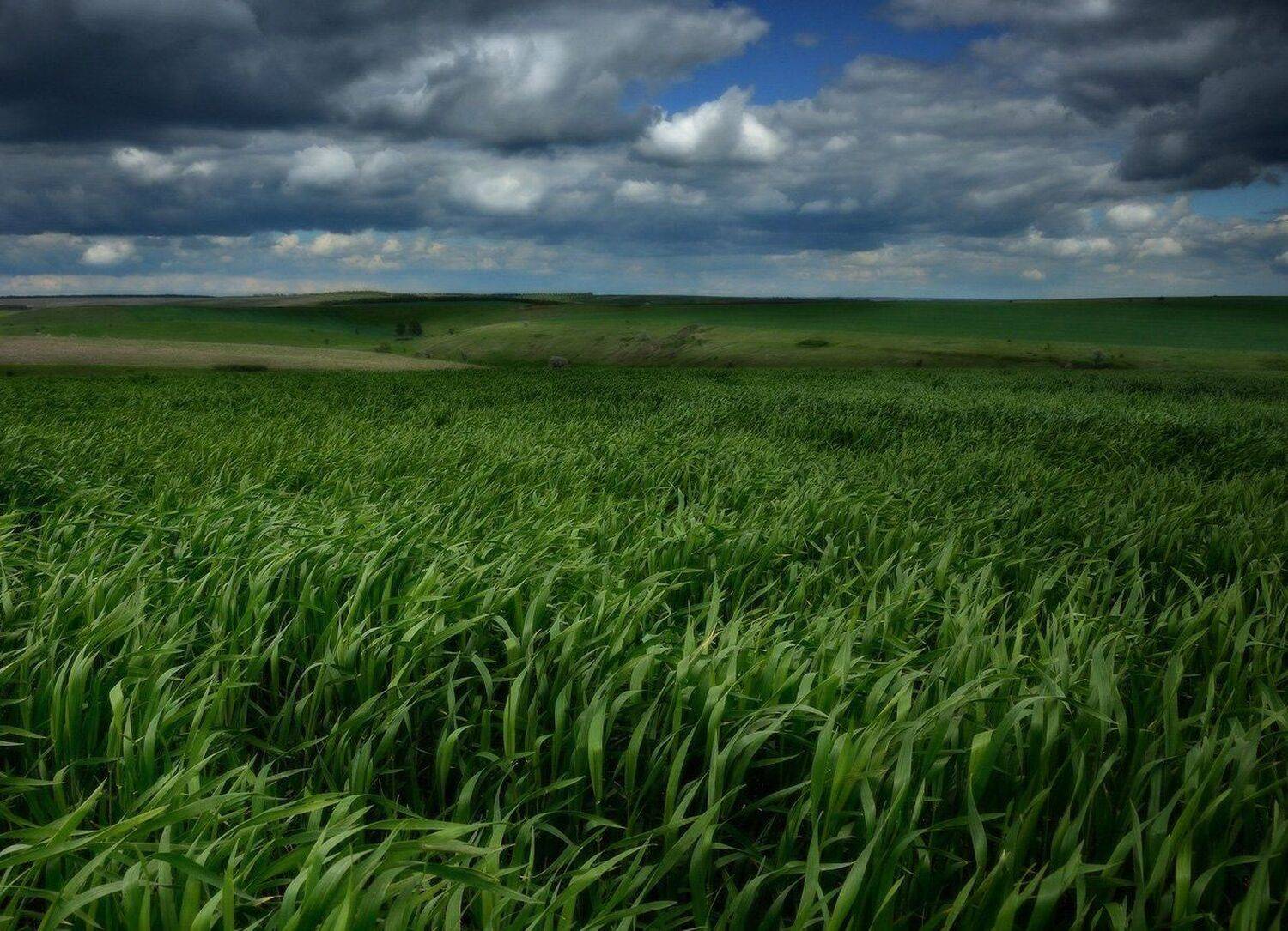 , Животков Андрей